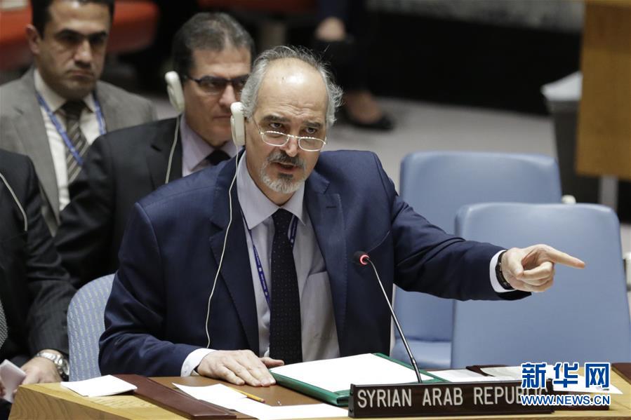 （国际）（1）安理会通过叙利亚全境停火决议